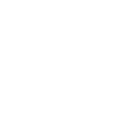 الملك للتجارة والإستيراد