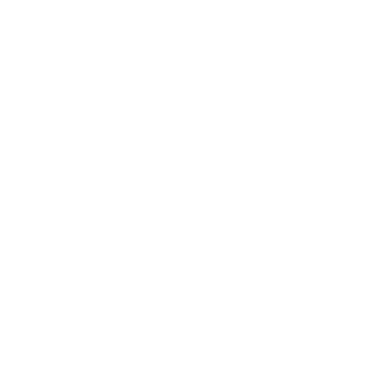 يونيفرسال إيجلز للخدمات الأمنية المحدودة